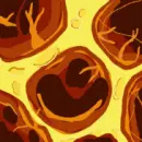 Lava Animation