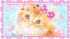 cute kitty