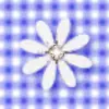 purple gingham with flower
