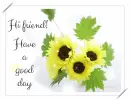 have a good day