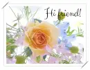 hi friend