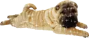chinese shar-pei