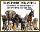 Protect our Animals.