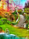 beautiful flower garden