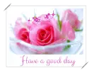 have a good day