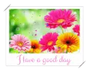 have a good day