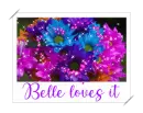 Belle loves it