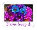 Pami loves it