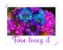 Tina loves it
