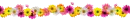 pretty flowers