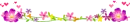 cute flowers