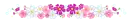 purple and pink flowers