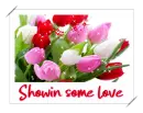 showin some love - roses