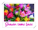 showin some love - tulips