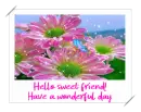 hello sweet friend