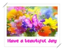 have a beautiful day