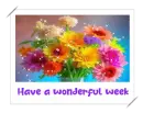 have a wonderful week