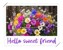 hello sweet friend
