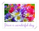 have a wonderful day