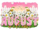 Welcome August-daisies