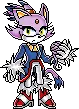 blaze the cat
