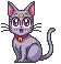 happy cat