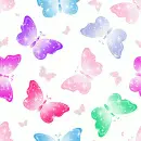 butterflies