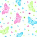 butterflies