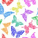 butterflies