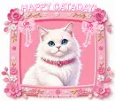 Happy Cataday!