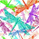 dragonflies