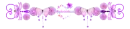 butterflies and flowers