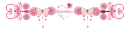 butterflies and flowers