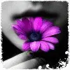purple flower