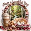 Have a beautiful Day