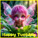 happy tuesday