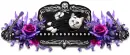 Rockin Cat divider