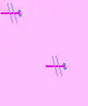dragonflies