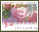 have a good day