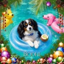 Bodhi - by Robbie