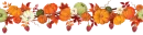 autumn pumpkins
