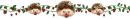 hedgehog