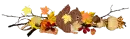autumn leaves and squirrel