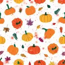 autumn - pumpkins