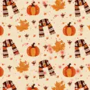 autumn - pumpkins and scarfs