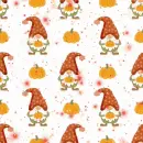 autumn - gnomes
