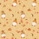 autumn - gnomes