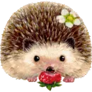 hedgehog
