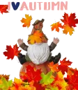 I love autumn garden gnome