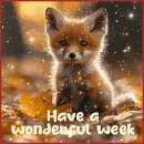 have a wonderful week